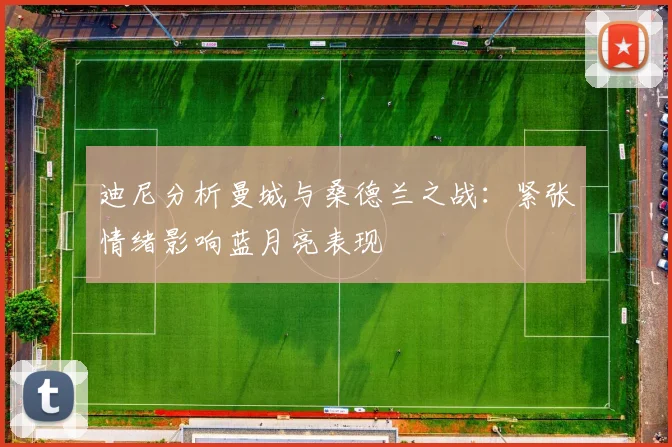 迪尼分析曼城与桑德兰之战：紧张情绪影响蓝月亮表现