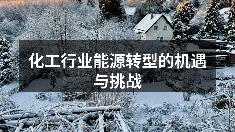 化工行业能源转型的机遇与挑战
